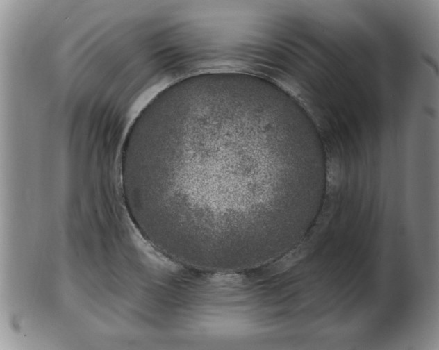 X0000102361466200808081119