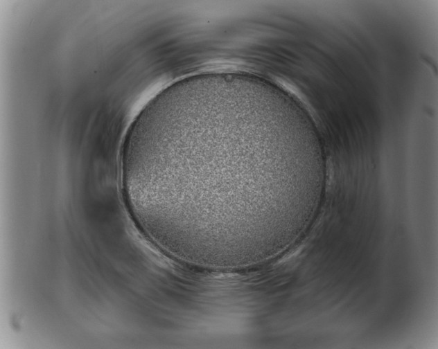 X0000102361467200808081119