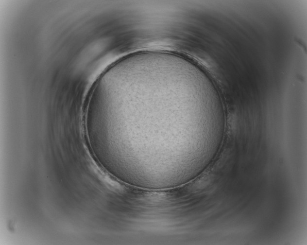 X0000102361470200808081119