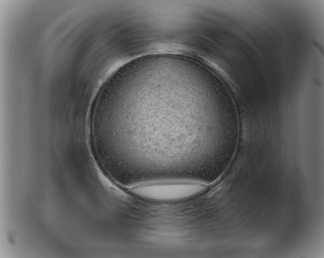 X0000102361471200808081119
