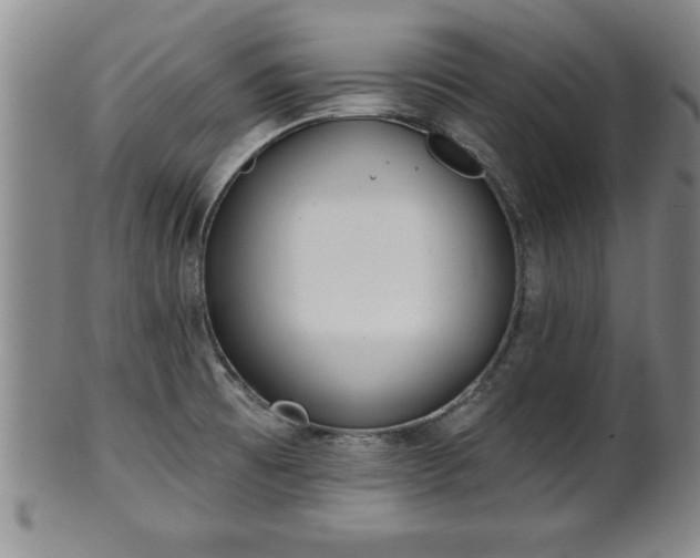 X0000102361473200808081119