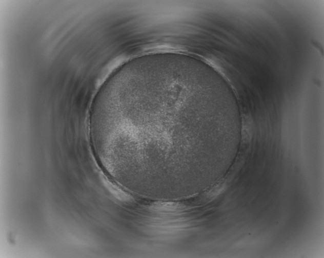 X0000102361474200808081119