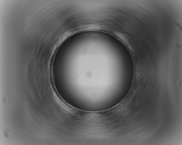X0000102361475200808081119