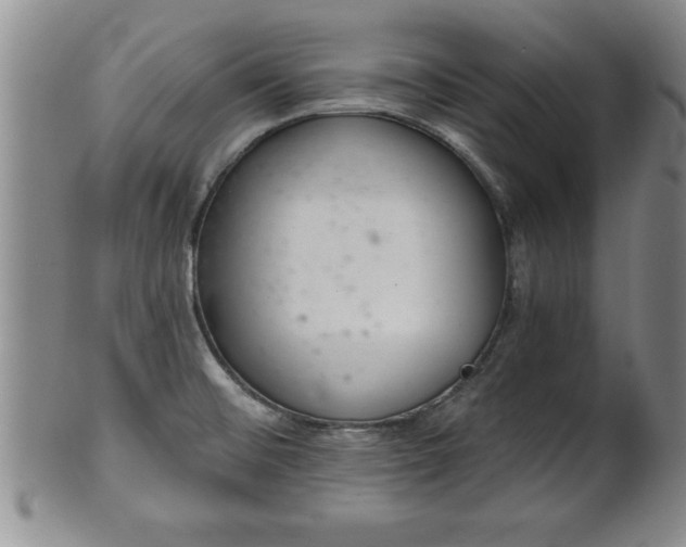 X0000102361476200808081119