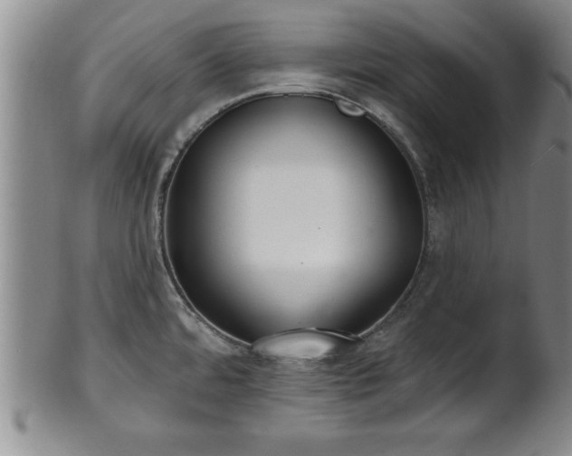X0000102361480200808081119
