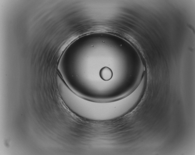 X0000102361481200808081119