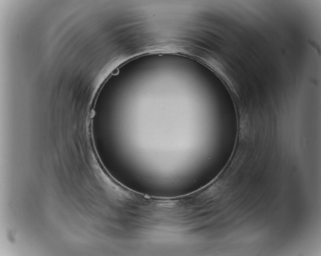 X0000102361484200808081119