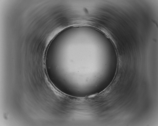 X0000102361485200808081119
