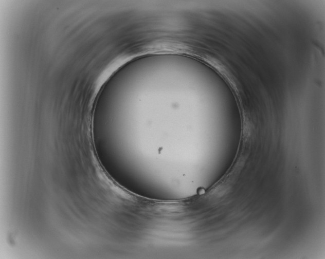 X0000102361486200808081119