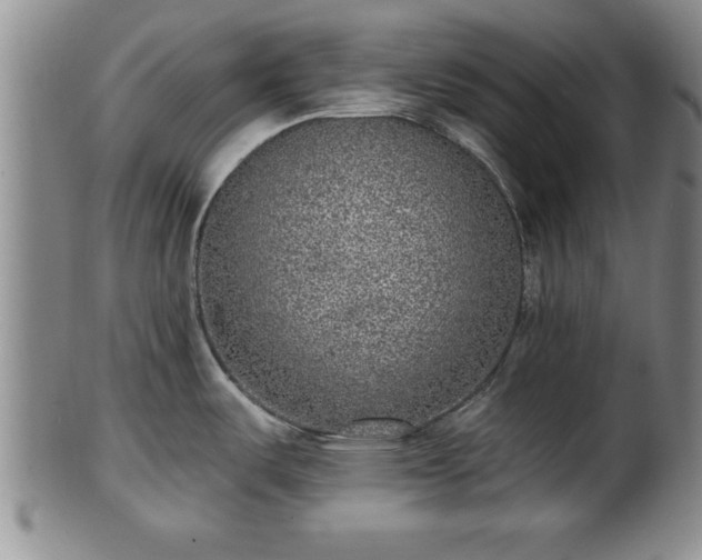 X0000102361487200808081119