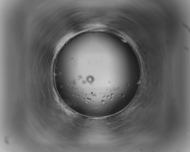 X0000102361488200808081119