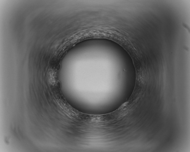X0000102361490200808081118