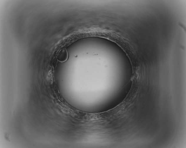 X0000102361493200808081118