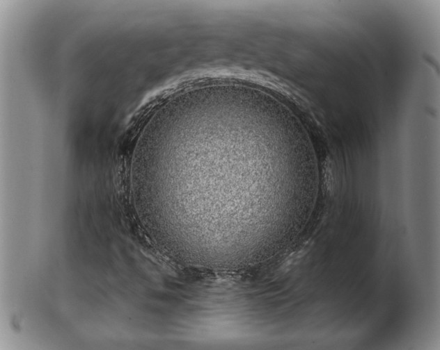 X0000102361494200808081118