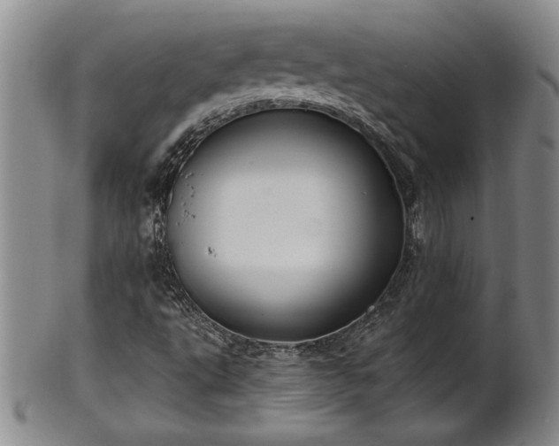 X0000102361495200808081118