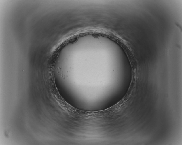 X0000102361496200808081119