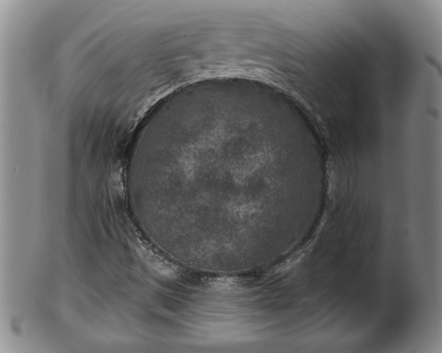 X0000102361497200808081119