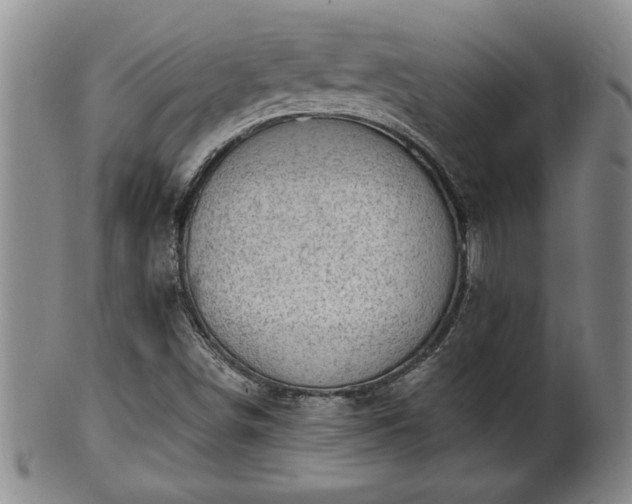 X0000102361498200808081119