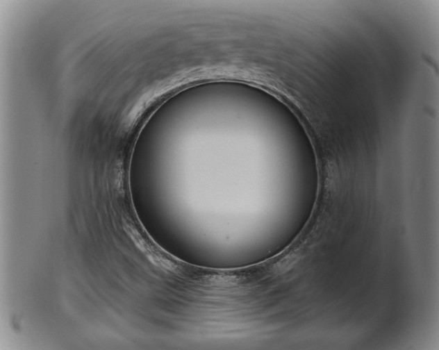 X0000102361499200808081119
