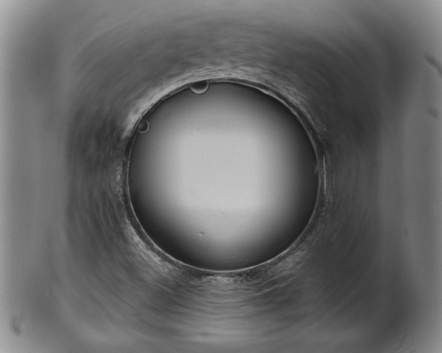 X0000102361500200808081119