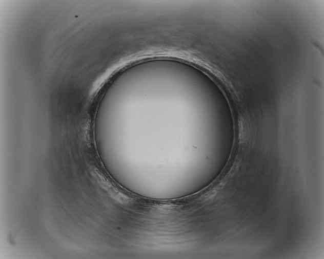 X0000102361502200808081119