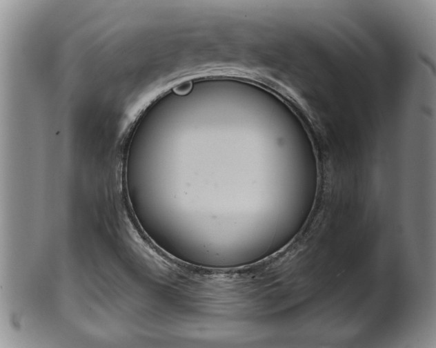 X0000102361504200808081119