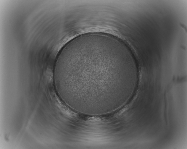 X0000102361505200808081119
