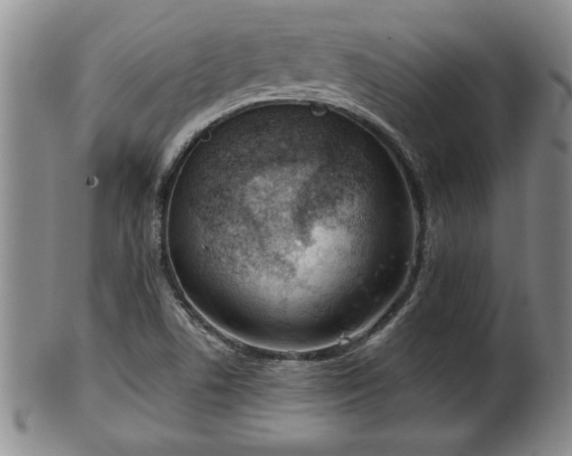 X0000102361506200808081119