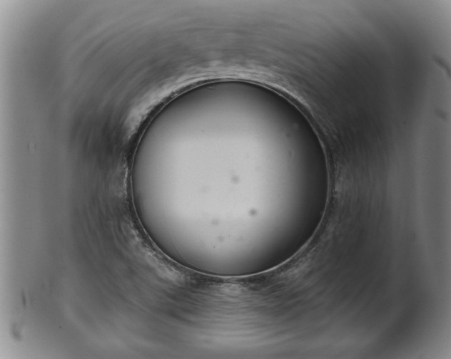 X0000102361507200808081119