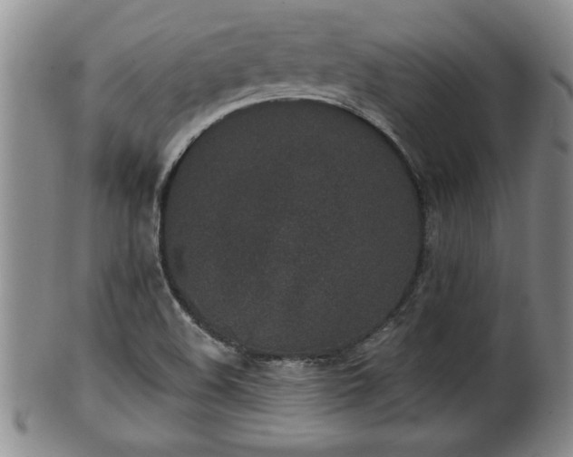 X0000102361508200808081119