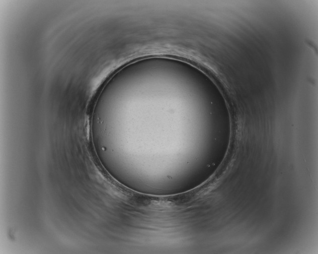 X0000102361509200808081119