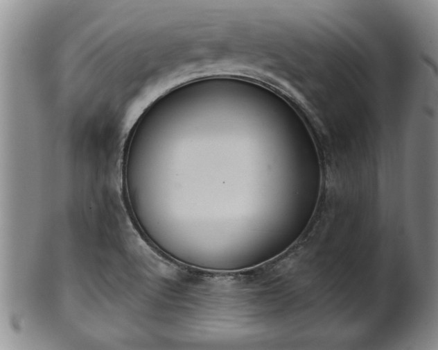 X0000102361512200808081119