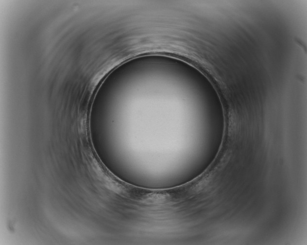 X0000102361513200808081119