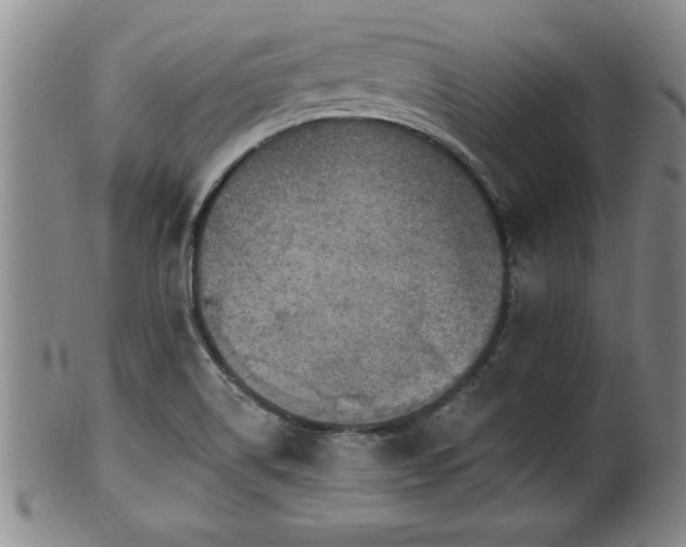 X0000102361514200808081119