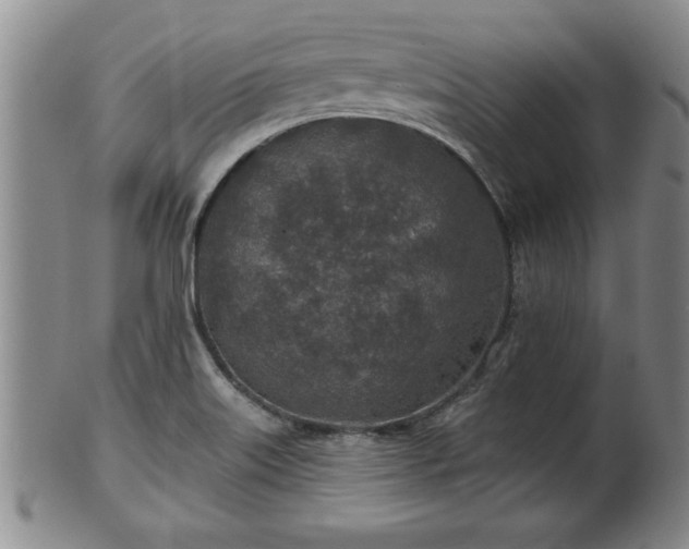 X0000102361515200808081119