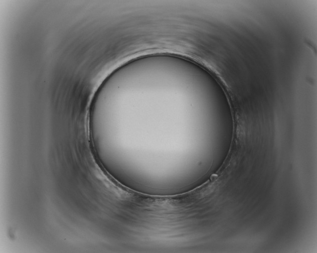X0000102361516200808081119