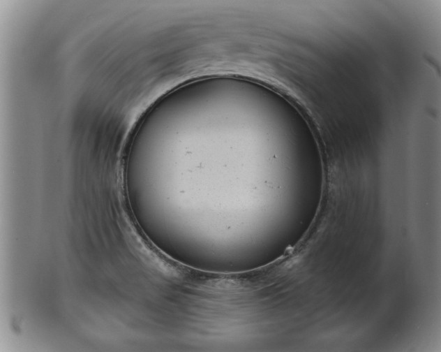 X0000102361517200808081119