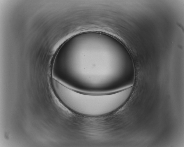 X0000102361518200808081119
