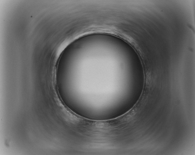 X0000102361520200808081119