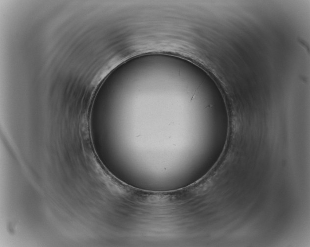 X0000102361521200808081119