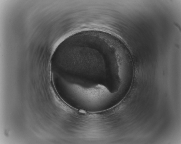 X0000102361522200808081119