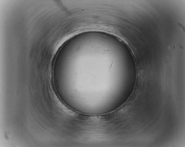 X0000102361523200808081119