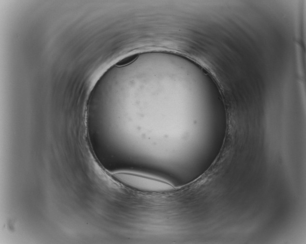 X0000102361524200808081119