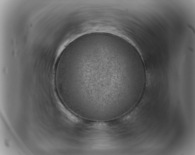 X0000102361525200808081119