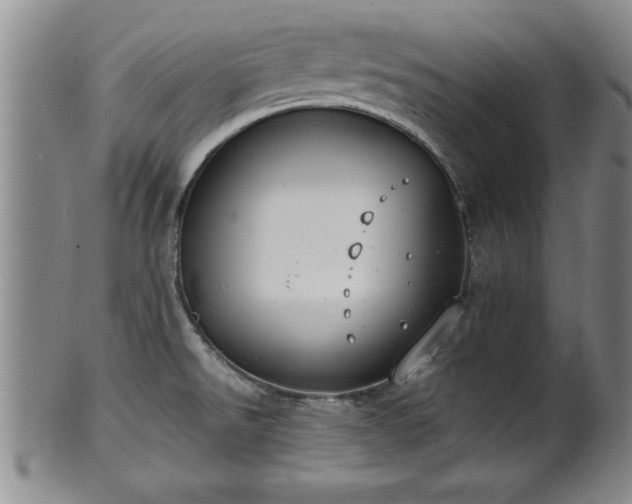 X0000102361526200808081119