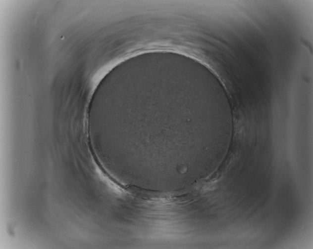 X0000102361527200808081119