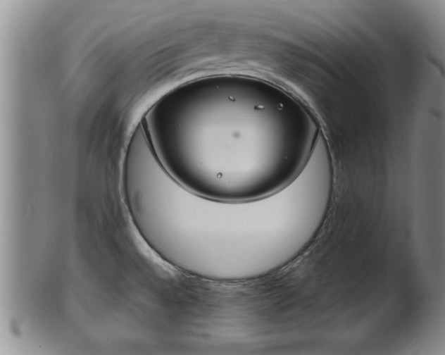X0000102361528200808081119