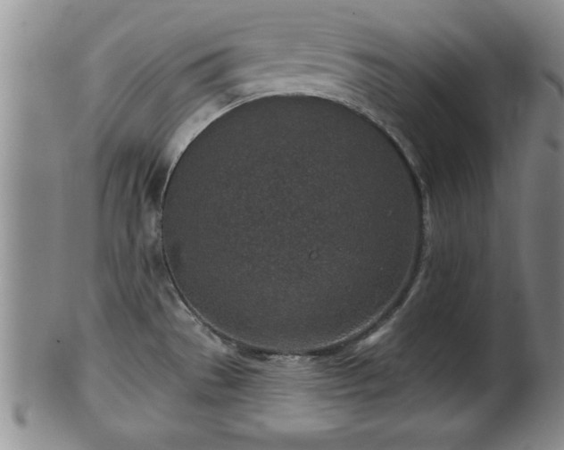 X0000102361529200808081119