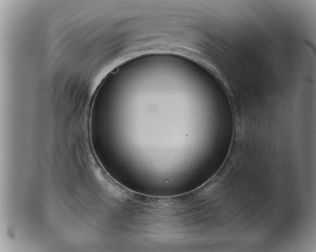 X0000102361530200808081119