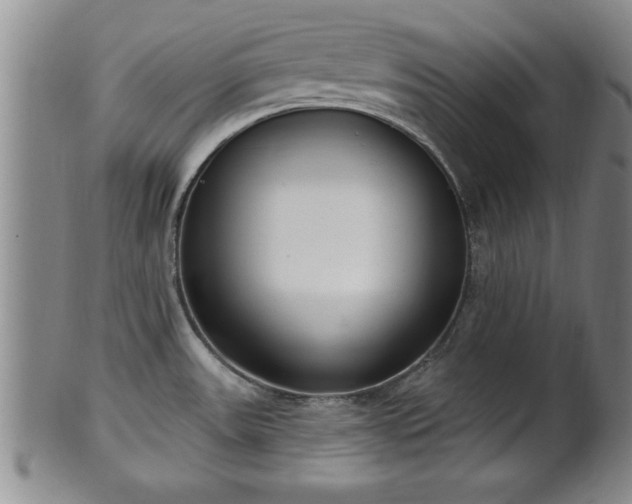 X0000102361531200808081119